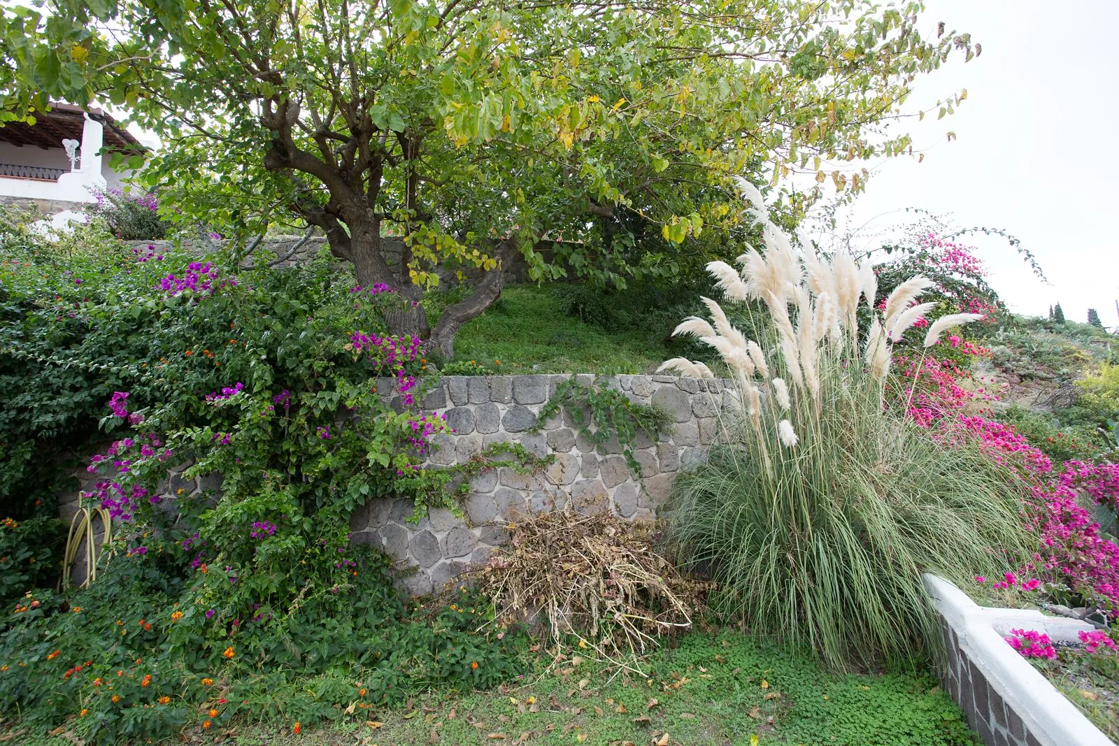 Il giardino fiorito di Villa Anna